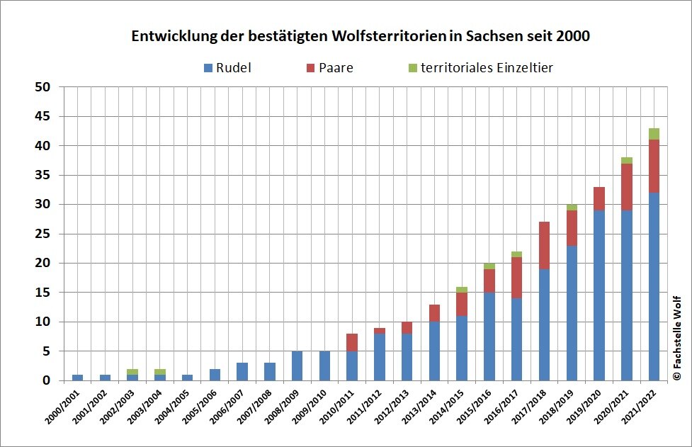 Balkendiagramm mit Angabe der bestätigten Rudel, Paare und territorialen Einzeltiere in Sachsen pro Monitoringjahr von 2000/2001 bis 2021/2022 