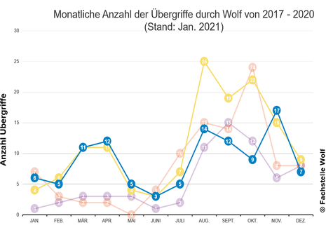 Schadenstatistik Grafiken