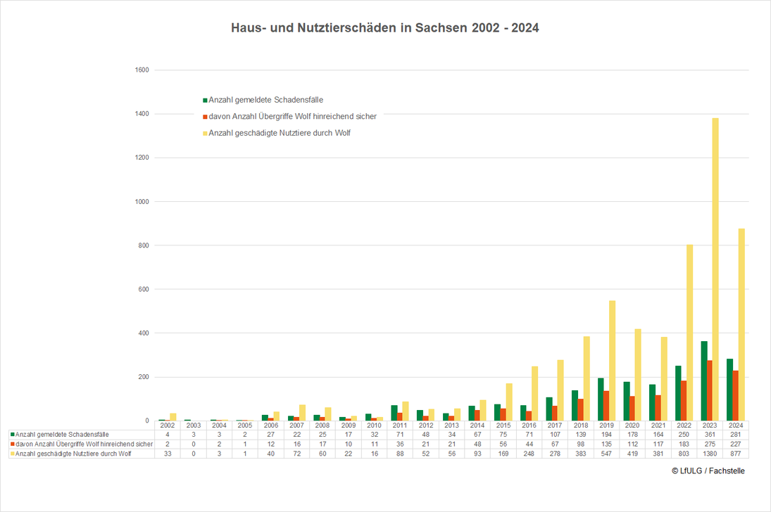 Grafische Darstellung der Anzahl gemeldeten Schadensfälle an Nutztieren, der Anzahl Fälle mit Verursacher "Wolf hinreichend sicher" sowie der Anzahl dabei geschädigter Nutztiere für die Jahre 2002 bis 2024