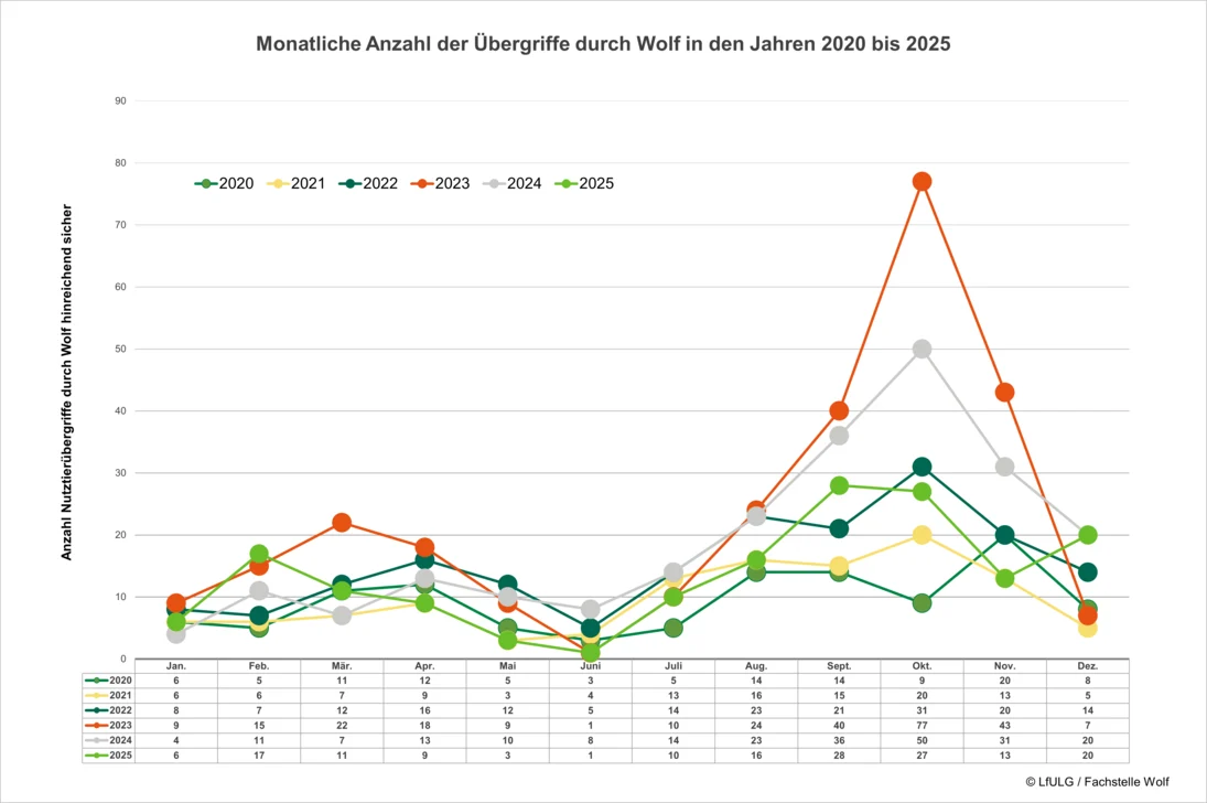 Grafische Darstellung der Anzahl Übergriffe pro Monat für die Jahre 2020 bis 2025