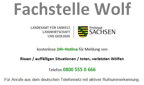 Fachstelle Wolf Hotline 0800 555 0 666