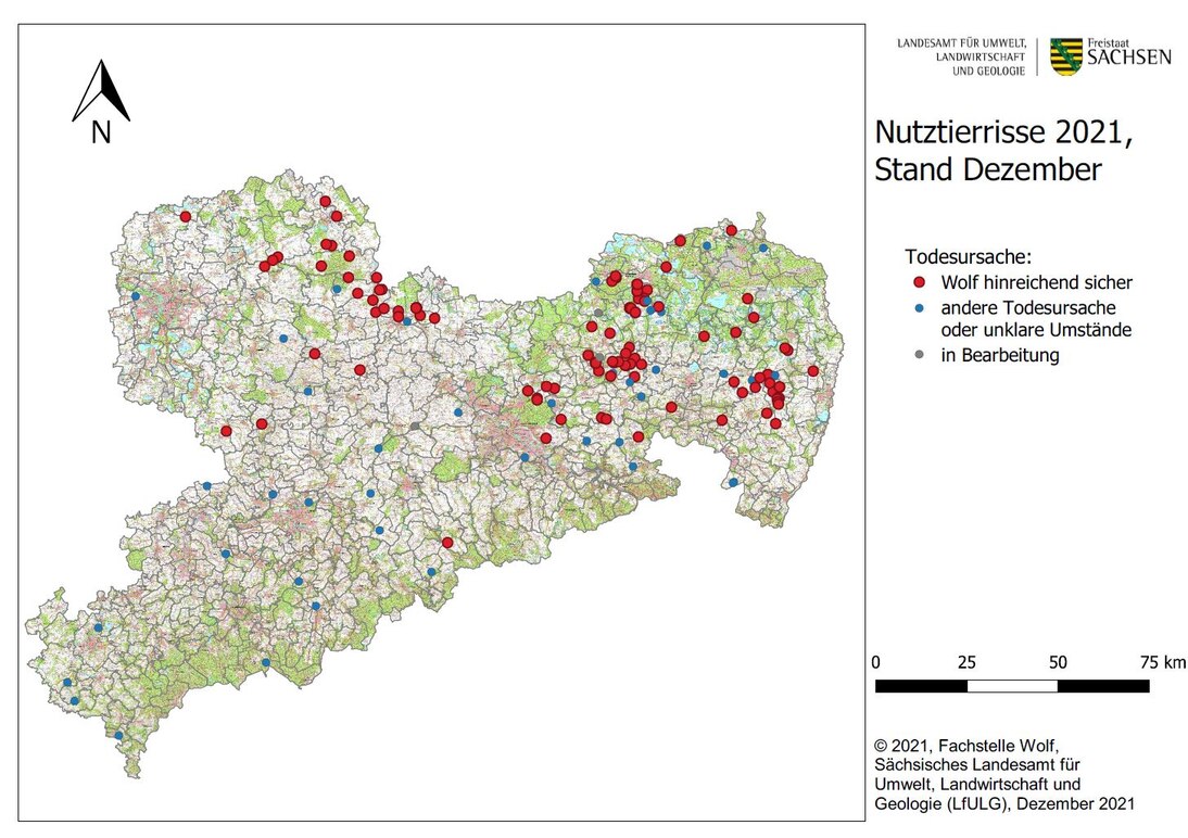 Abb. 3: Karte von Sachsen mit Darstellung der gemeldeten Nutztierübergriffe nach Ortsangabe im Kalenderjahr 2021
