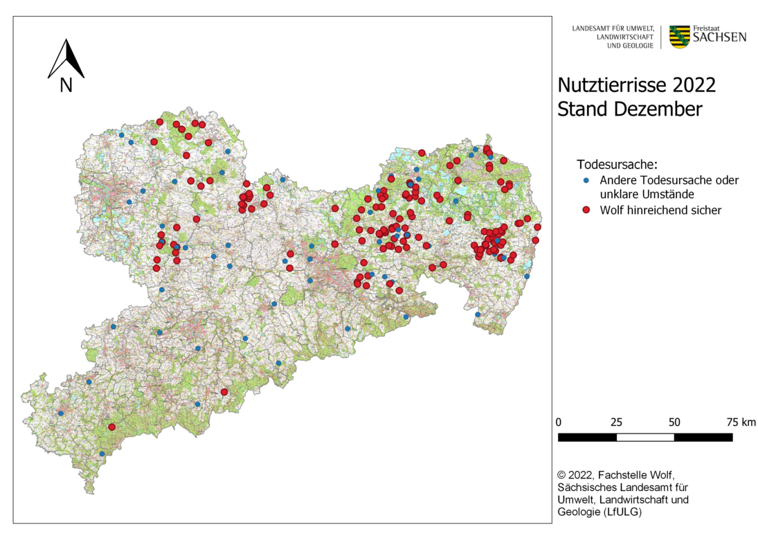 Abb. 2: Karte von Sachsen mit Darstellung der gemeldeten Nutztierübergriffe nach Ortsangabe bis Stand Ende Dezember 2022