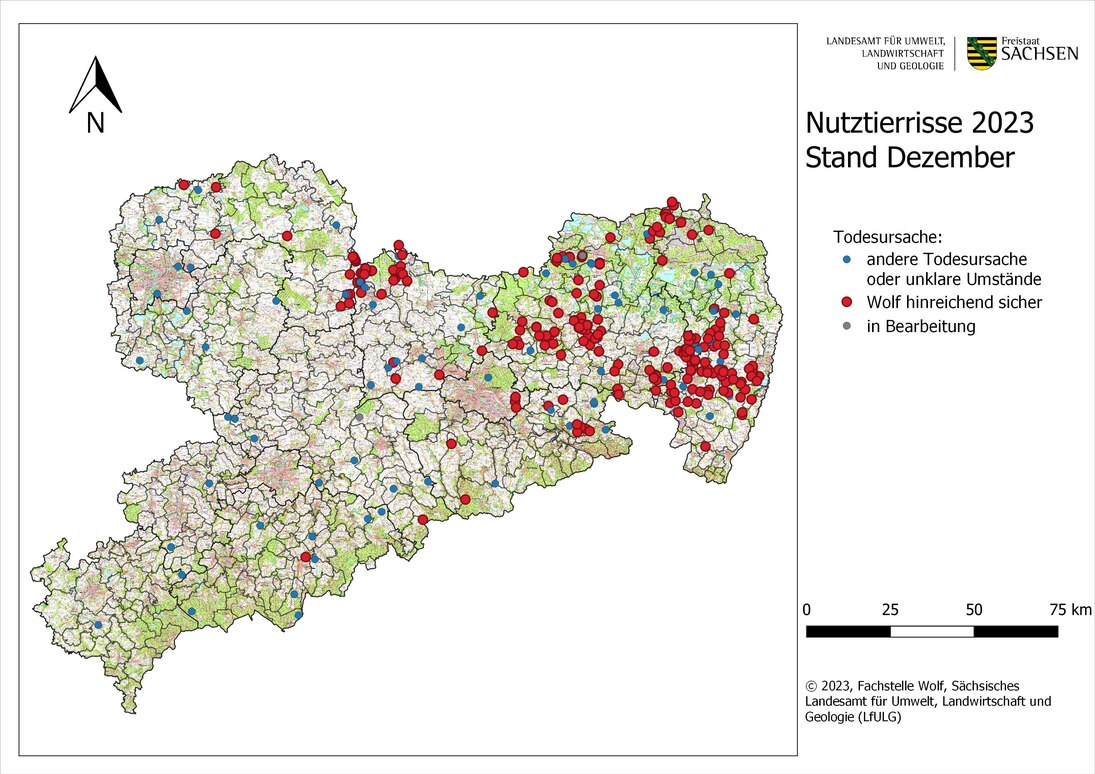 Abb. 1: Karte von Sachsen mit Darstellung der gemeldeten Nutztierübergriffe nach Ortsangabe bis Stand Ende Dezember 2023