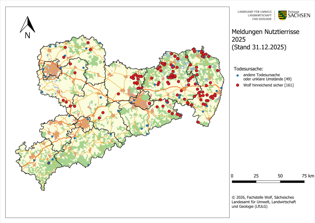 Karte von Sachsen mit Darstellung der gemeldeten Schadensfällen an Nutztieren als Punkte nach Ortsangabe im Jahr 2025