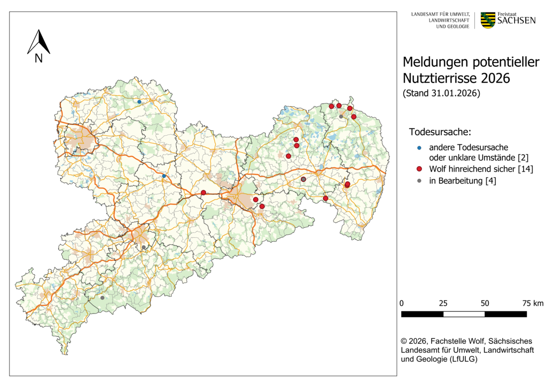 Karte von Sachsen mit Darstellung der gemeldeten Schadensfällen an Nutztieren als Punkte nach Ortsangabe im Jahr 2026