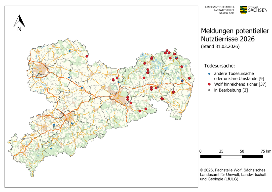 Karte von Sachsen mit Darstellung der gemeldeten Schadensfällen an Nutztieren als Punkte nach Ortsangabe im Jahr 2026