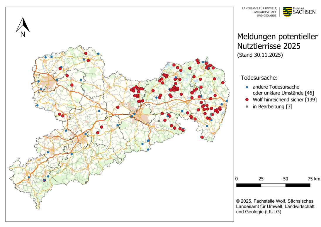 Karte von Sachsen mit Darstellung der gemeldeten Schadensfällen an Nutztieren als Punkte nach Ortsangabe im Jahr 2025
