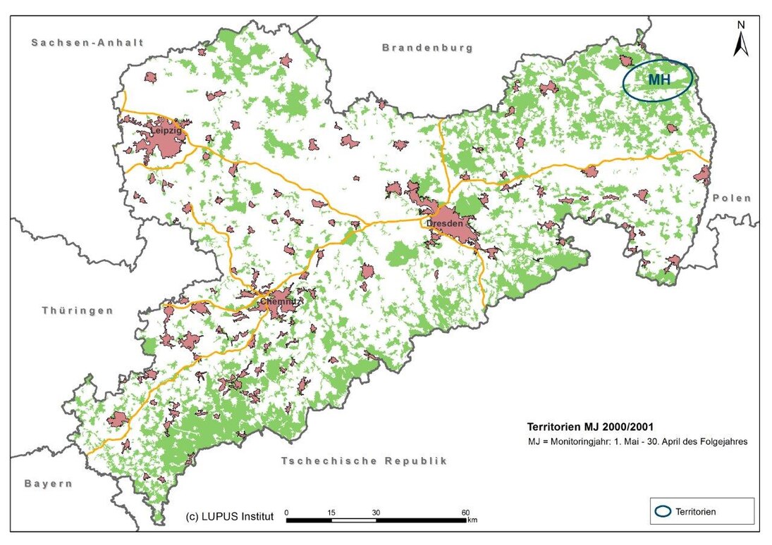 Karte von Sachsen mit Darstellung der bestätigten Wolfsterritorien und Gebiete mit Status unklar im Monitoringjahr 2000/2001