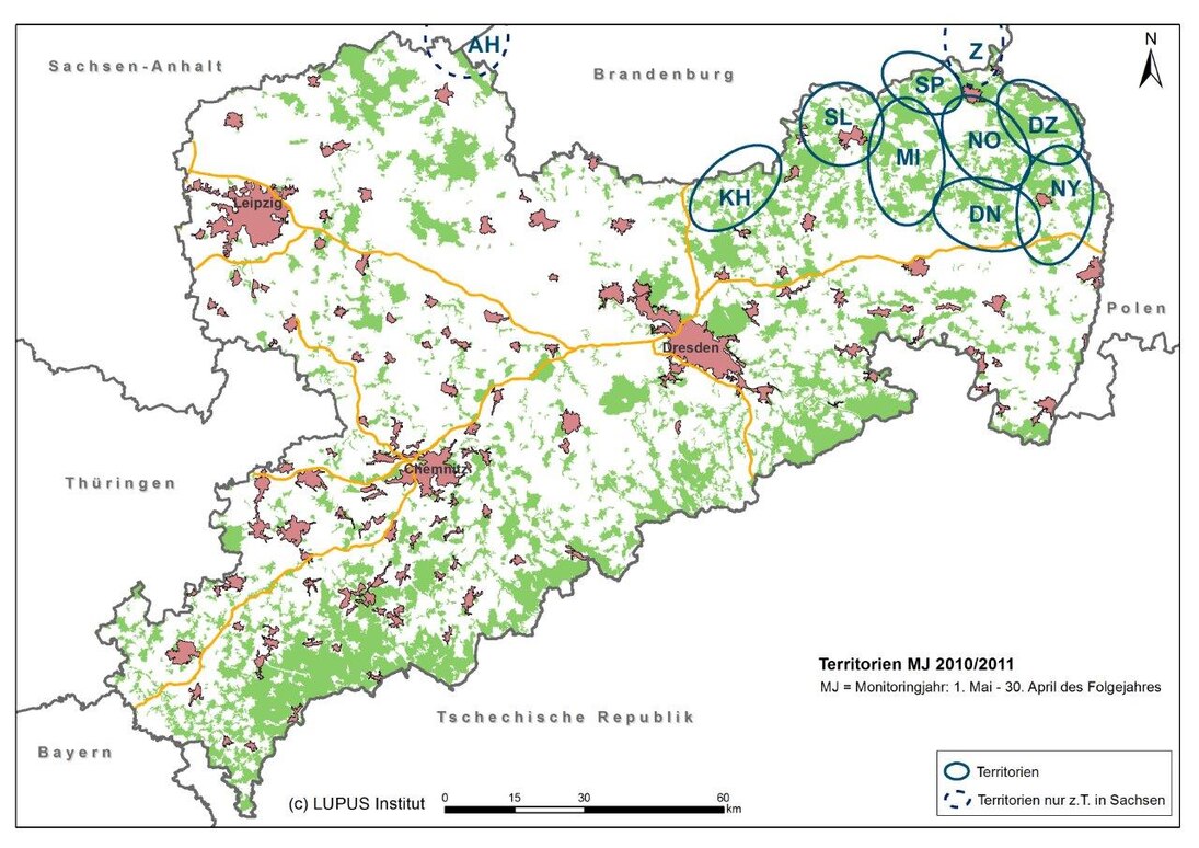 Karte von Sachsen mit Darstellung der bestätigten Wolfsterritorien und Gebiete mit Status unklar im Monitoringjahr 2010/2011