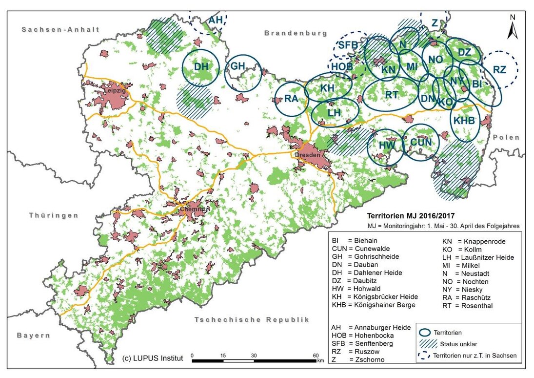 Karte von Sachsen mit Darstellung der bestätigten Wolfsterritorien und Gebiete mit Status unklar im Monitoringjahr 2016/2017