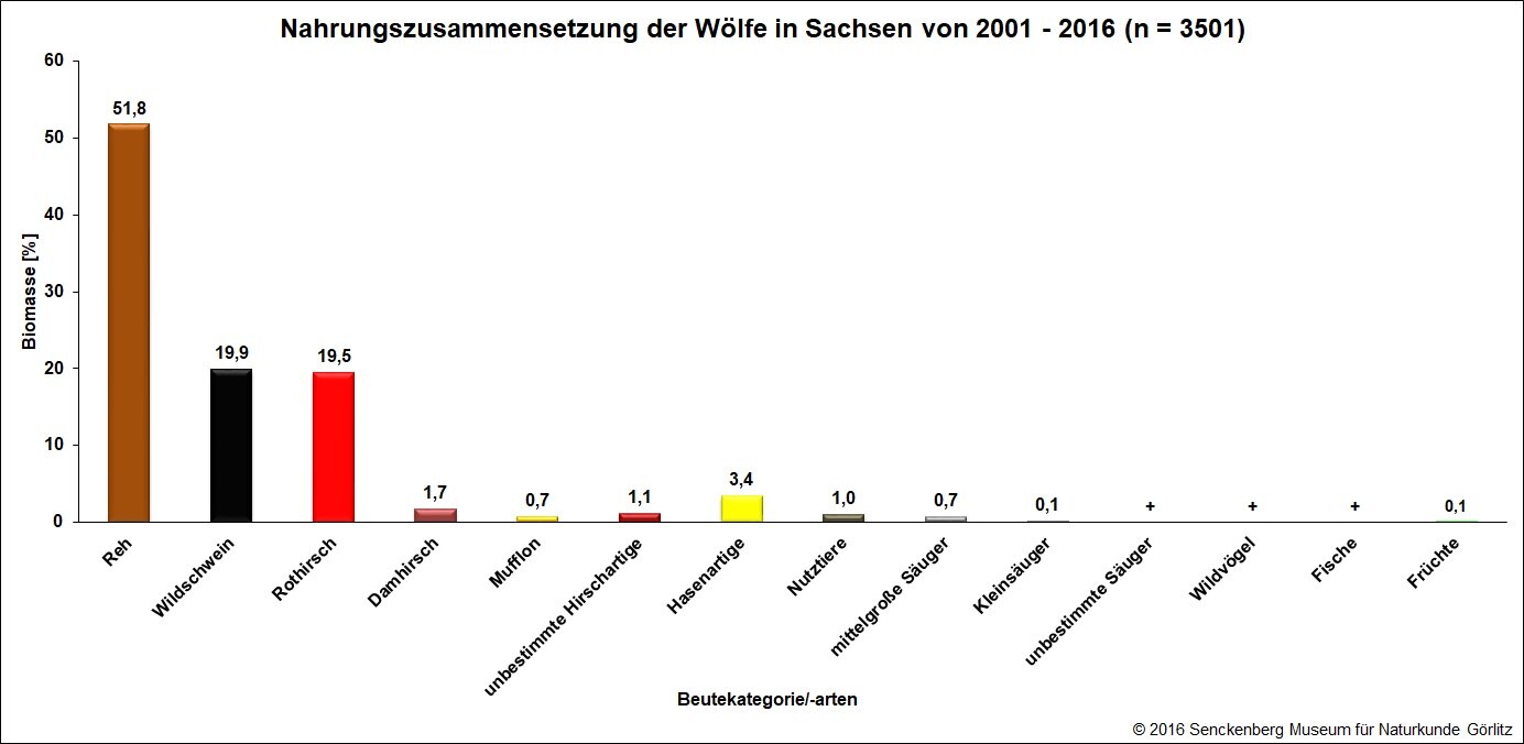 Nahrungsanalyse_bis_2016