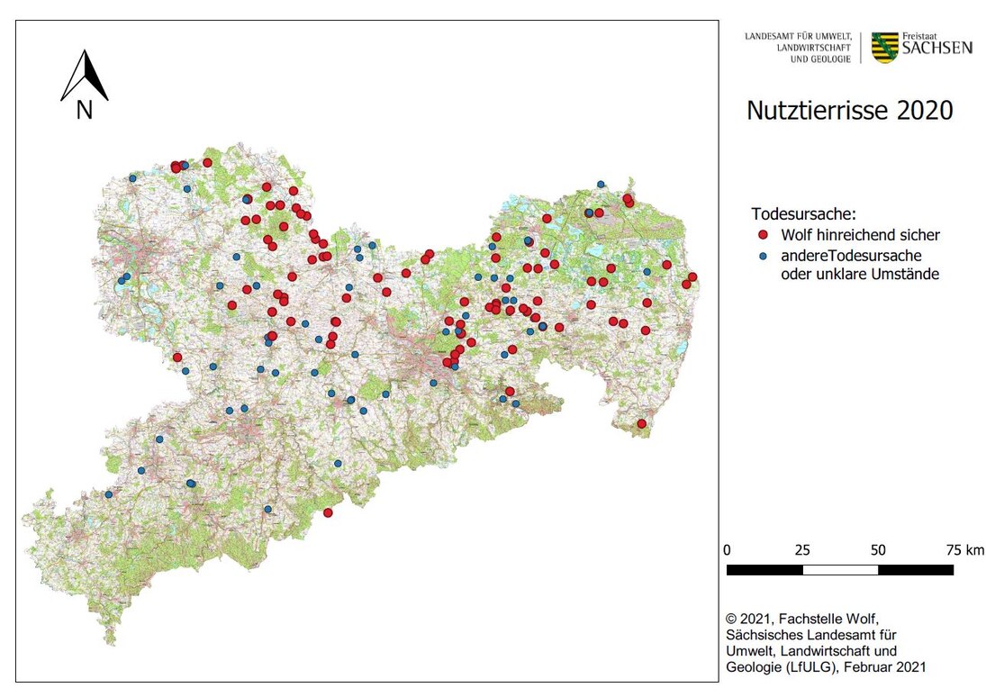 Abb. 3: Karte von Sachsen mit Darstellung der gemeldeten Nutztierübergriffe nach Ortsangabe im Kalenderjahr 2020