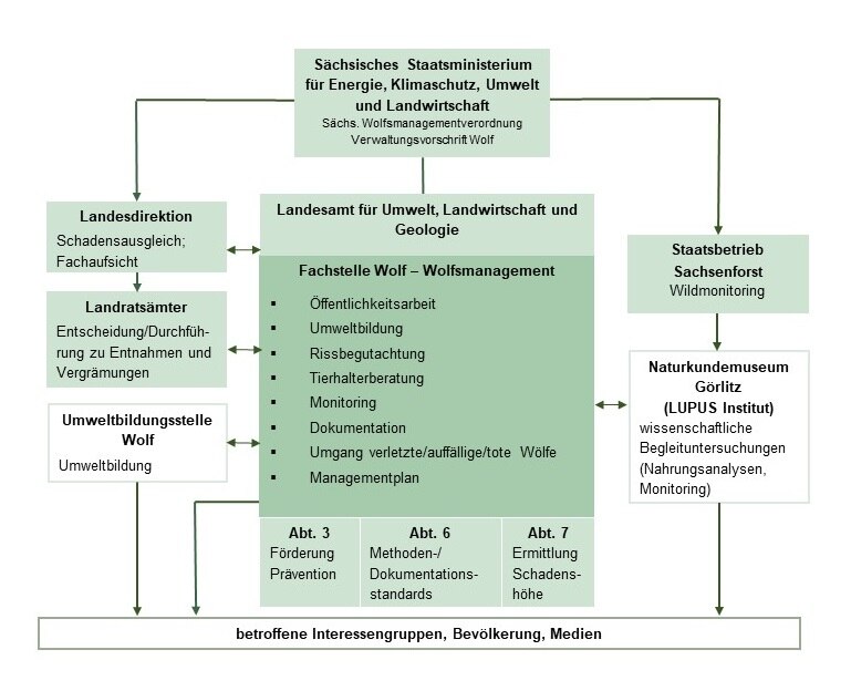 Organigram Wolfsmanagement