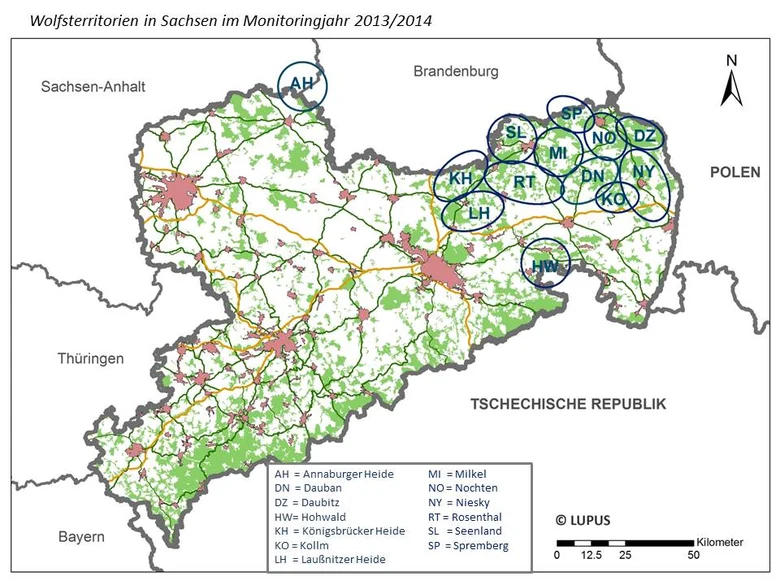 Wolfsvorkommen in Sachsen im Monitoringjahr 2013/2014