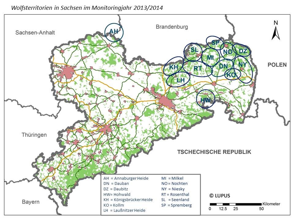 Wolfsvorkommen in Sachsen im Monitoringjahr 2013/2014