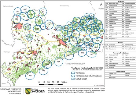 Karte von Sachsen mit Darstellung der bestätigten Wolfsterritorien und Gebiete mit Status unklar im Monitoringjahr 2023/2024