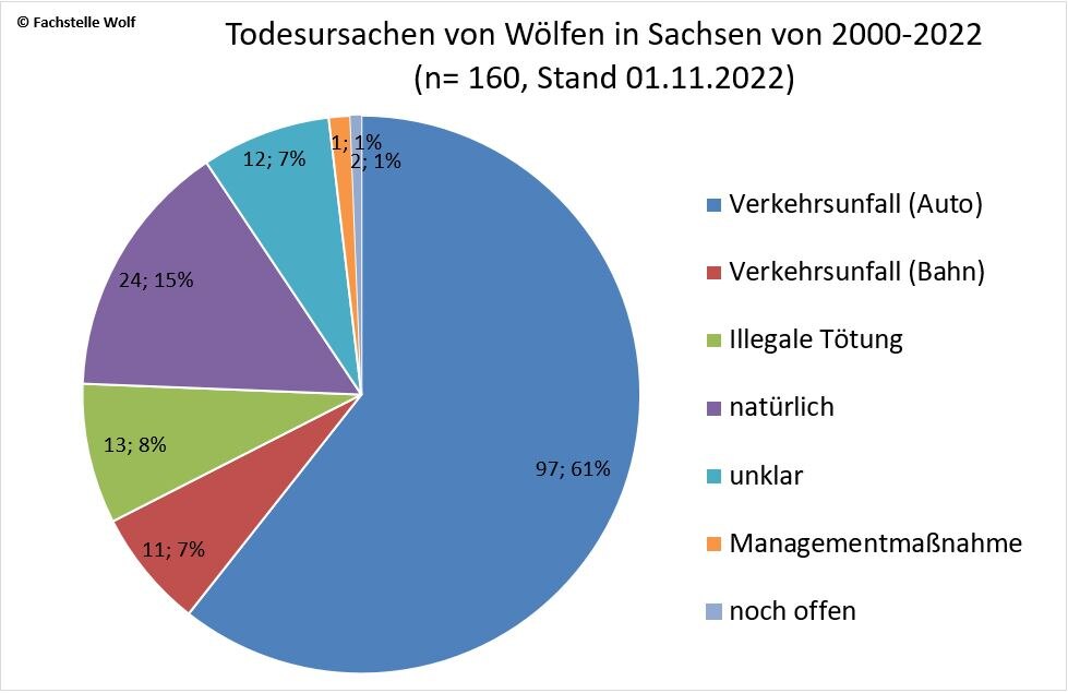 Tortendiagramm aller toten Wölfe in Sachsen bis 1. November 2022 nach Todesursachen aufgeteilt