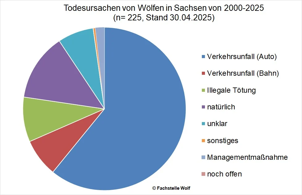Tortendiagramm zeigt die Todesursachen von Wölfen bis 30.04.2025