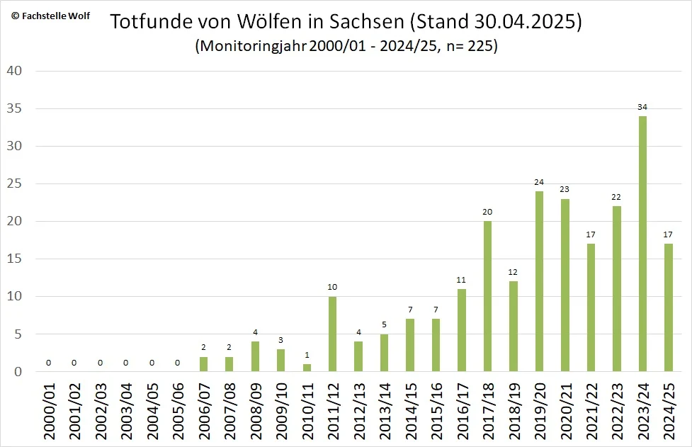 Diagramm zu den Anzahl Totfunden pro Monitoringjahr bis 30. April 2025