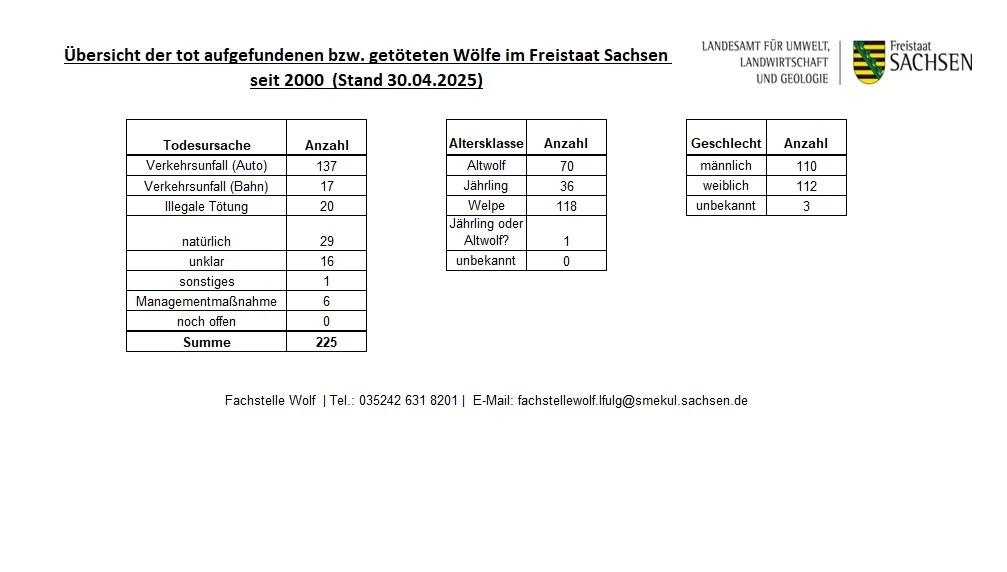 Übersicht der toten Wölfe mit Angabe der Altersklassen und des Geschlechts mit Stand 30. April 2025