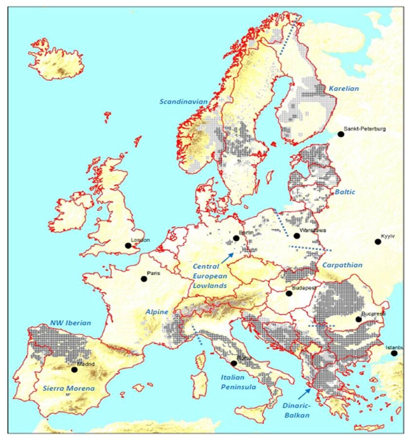 Wolfsverbreitung in Europa