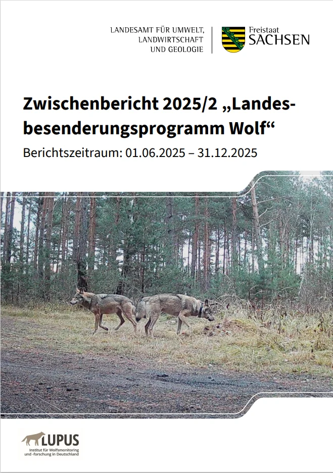 Titelbild des Zwischenbericht 2025/2 "Landesprogramm Bsenderung Wolf"